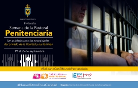 5a semana