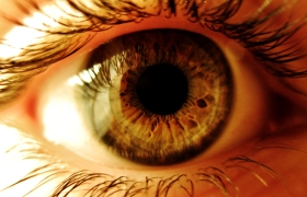 ojo