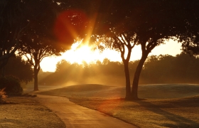 paisaje sol